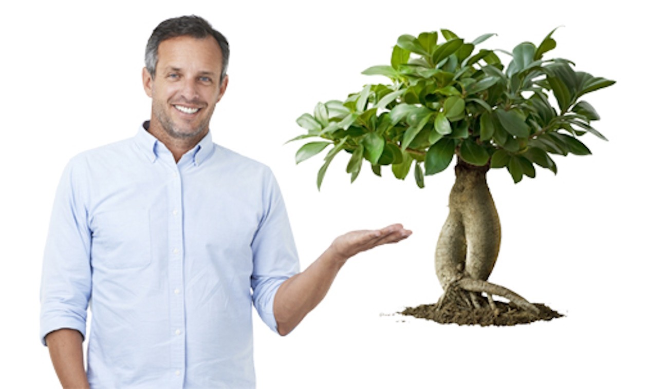 Cosa significa regalare un bonsai